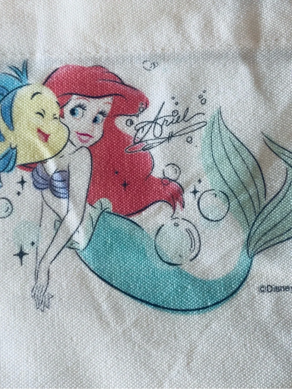 Disney soft material canvas